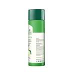 Biotique Bio Green Apple Shampoo & Conditioner